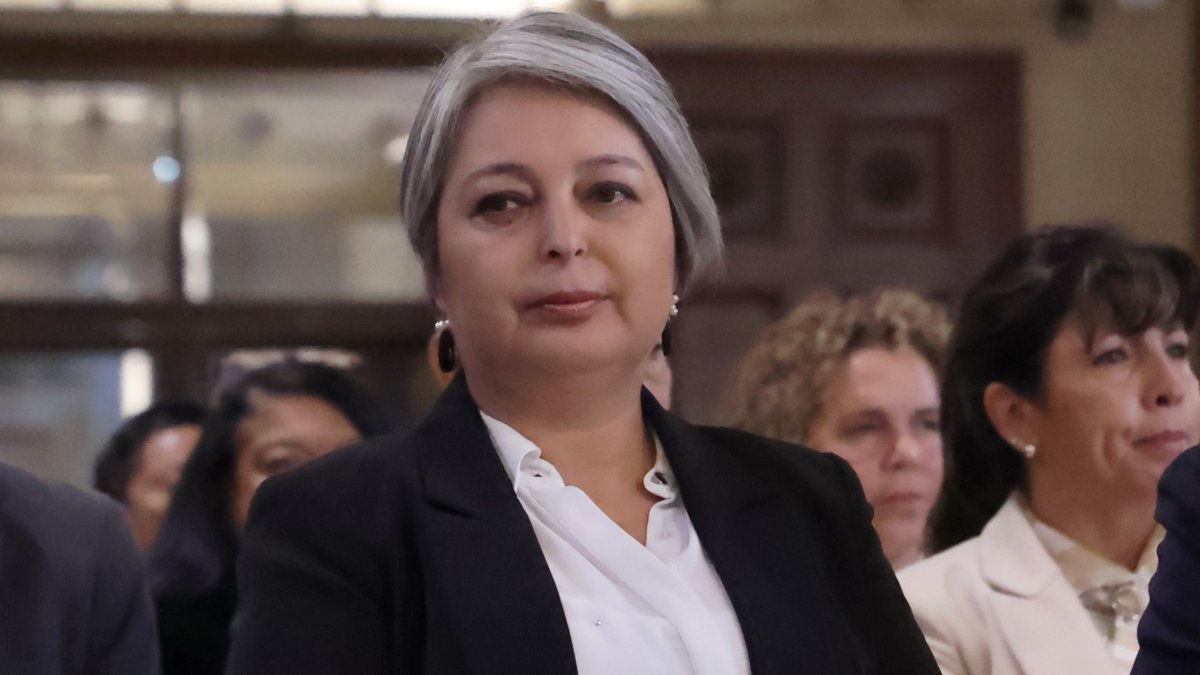 Comando oficialista denuncia vínculos entre bots y candidatura de Kast