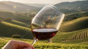 ¿Cuál es la mejor viña del mundo? Chilenas lideran en dos rankings