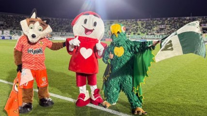   El Loro de Santiago Wanderers y el Zorro de Cobreloa posaron con Teletín en Valparaíso 