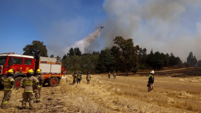 Diputada UDI cuestionó retraso en la tramitación de la nueva Ley de Incendios
