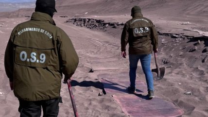   OS-9 Antofagasta recuperó más de $80 millones en cobre enterrado en la pampa 