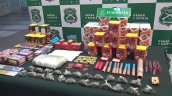 Lo Espejo: Cinco detenidos con arsenal de fuegos artificiales ilegales