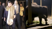 ¿Es de IA? El viral pase de Messi a un elefante en su visita a India