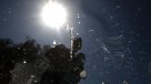 El calor intenso de esta semana dará un respiro durante sábado y domingo en Santiago