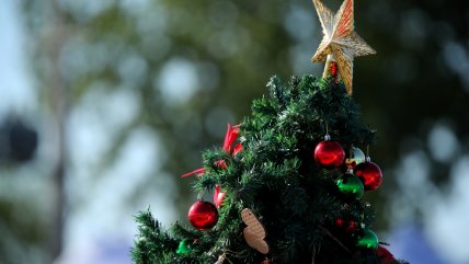   ¿Por qué se decora el árbol en Navidad? 