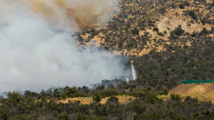 Violento incendio en Litueche ha destruido dos viviendas