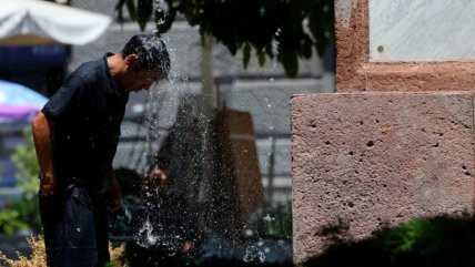 Calor extremo en la zona central: Termómetros marcaron 41,3 grados en Coltauco