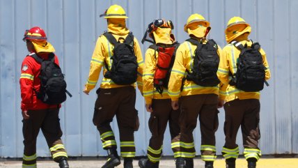 Encapuchados atacaron a brigada forestal en Curanilahue