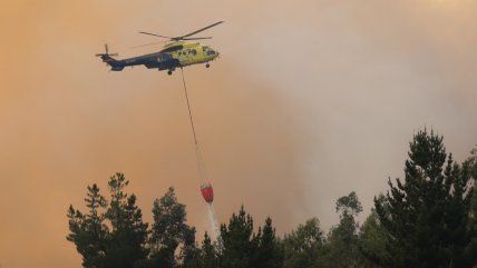 Libre por falta de pruebas el acusado de iniciar incendio forestal en el Maule