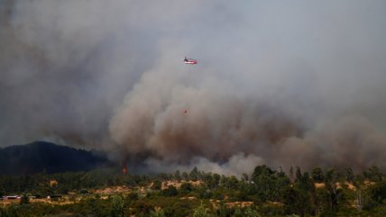 Comandante de Bomberos murió mientras combatía incendio forestal en Litueche