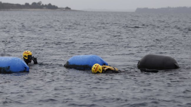 Puerto Varas: Buscan a joven de 19 años tras voltearse tabla en la que nadaba