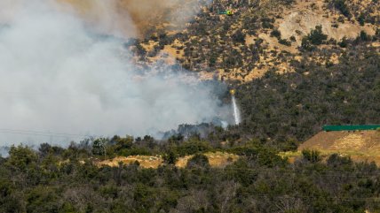Incendios golpean a Chiloé en medio de ola de calor