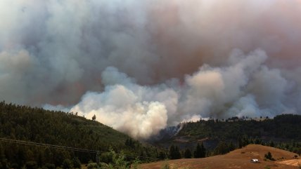   Valparaíso: Incendio forestal en Laguna Verde ha afectado al menos a tres casas 