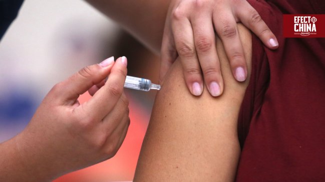 Chile renovó a Sinovac como proveedor exclusivo de vacunas contra la gripe en 2026