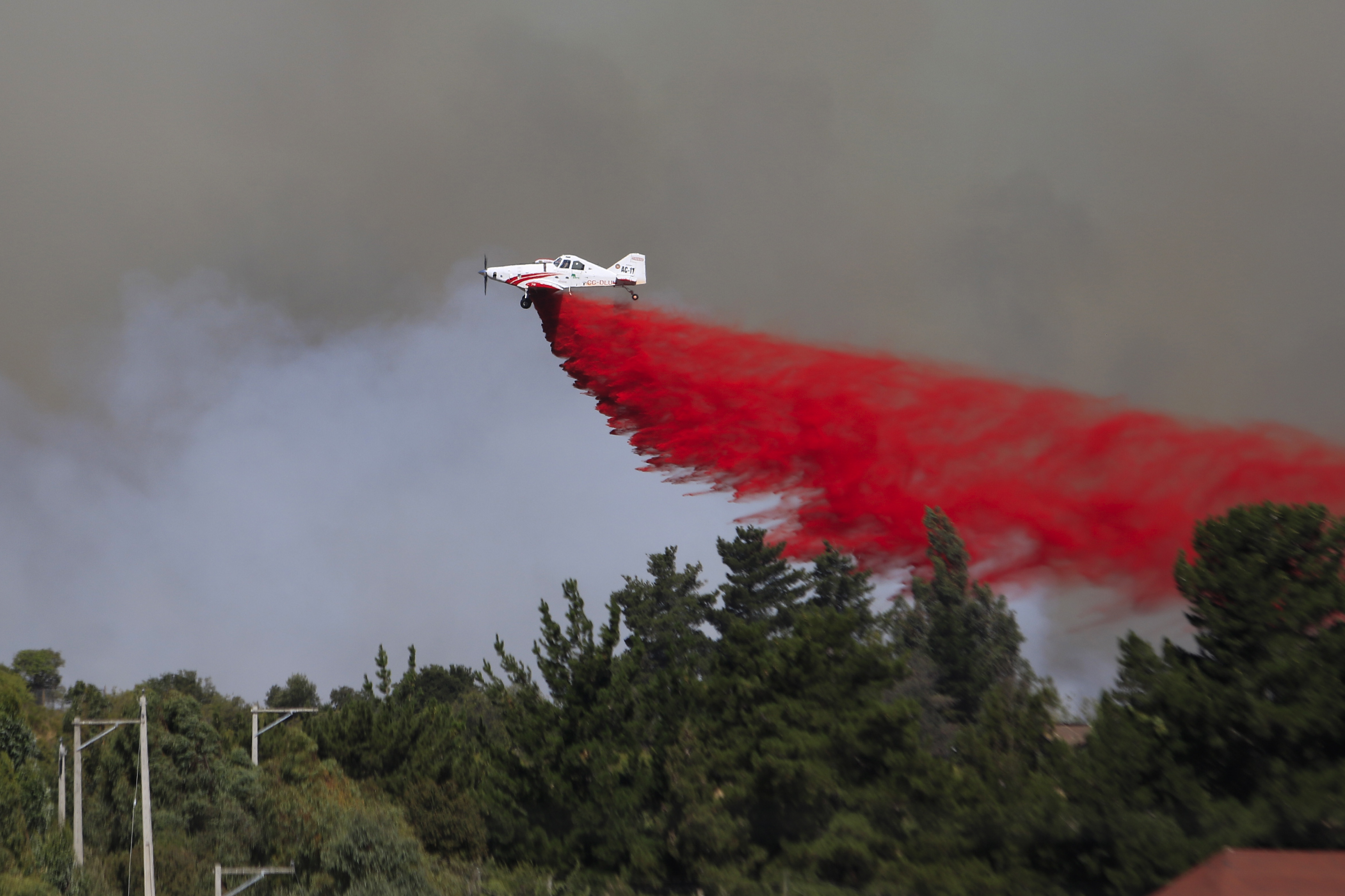 Imagen foto_00000001