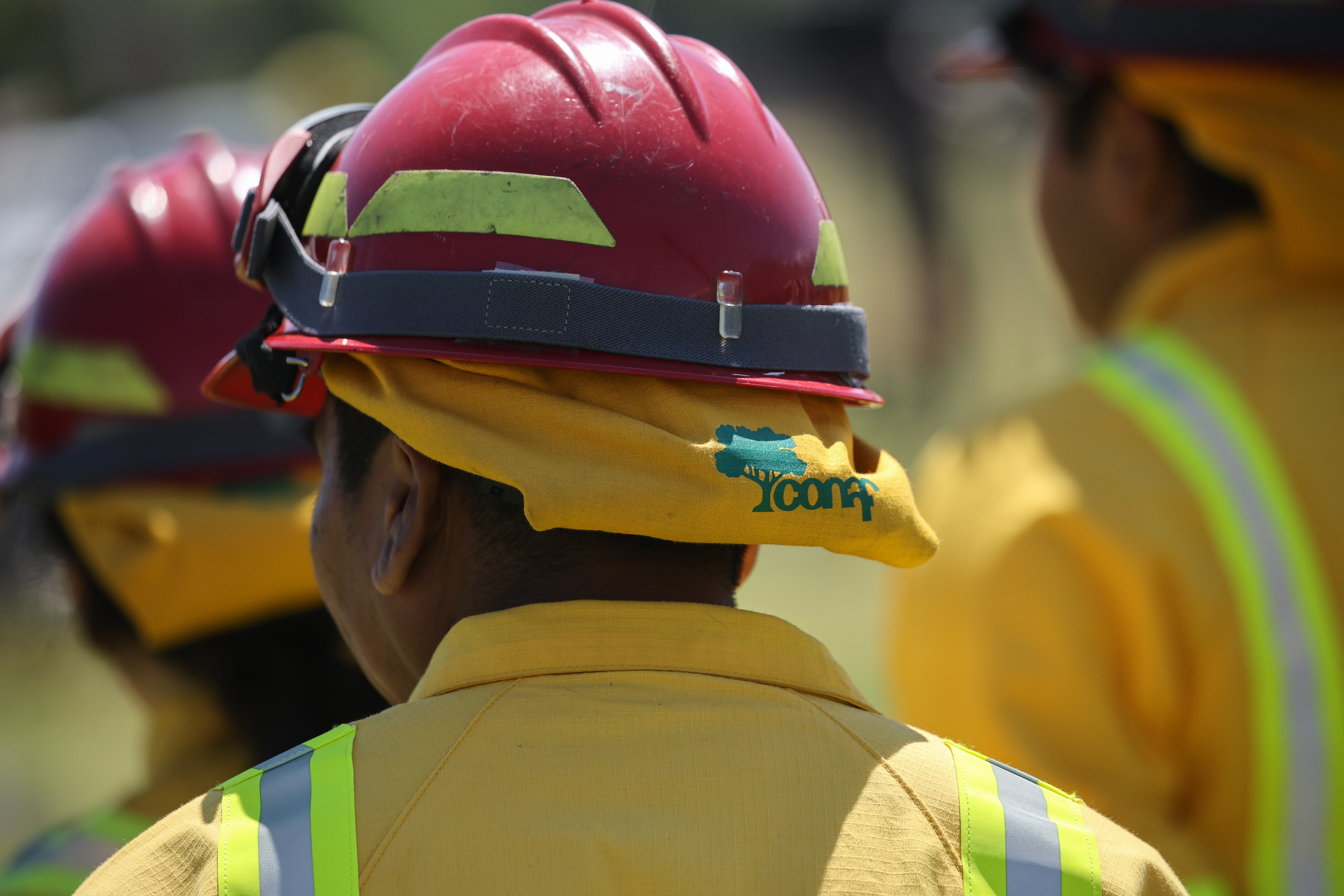 Imagen foto_00000014