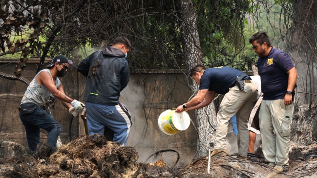 Incendios en Ñuble y Biobío: Tus derechos laborales en medio de la emergencia