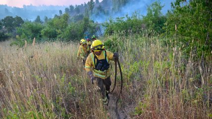 Máxima alerta en Florida por reactivación de incendios