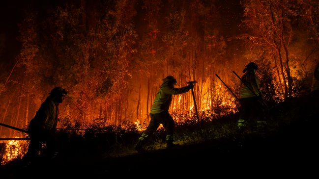 Usach alista sistema para predecir de manera exacta en qué lugar habrá incendios forestales