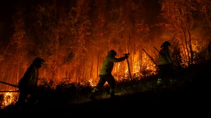 Usach alista sistema para predecir de manera exacta en qué lugar habrá incendios forestales