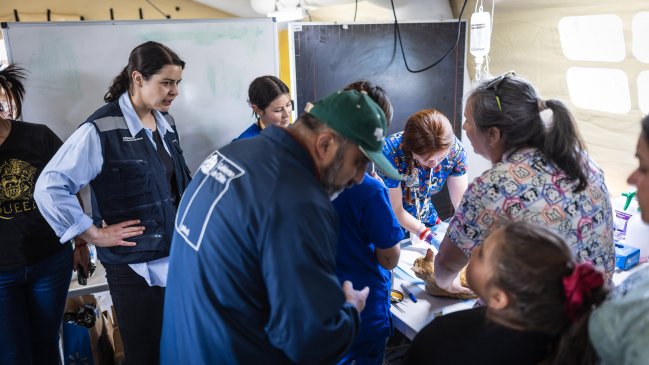 Incendios en Biobío: Gobierno anuncia inversión veterinaria de emergencia para comunas afectadas