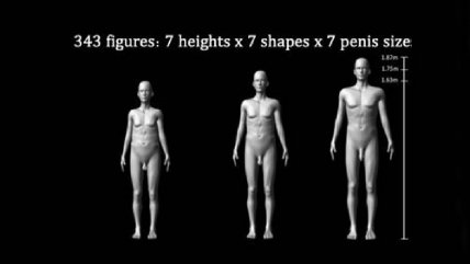 Atractivo, fuerza y competencia: el rol evolutivo del tamaño del pene