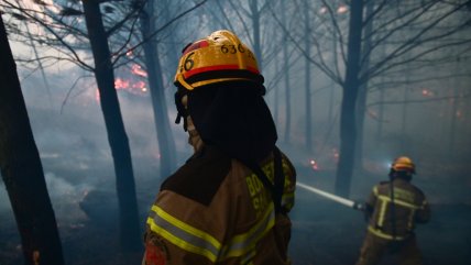 Séptimo día de combate de los incendios en el centro-sur