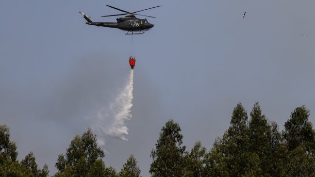 Declaran alerta roja para Collipulli por incendio forestal provocado por caída de un rayo
