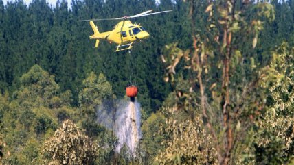 Cinco incendios forestales se encuentran en combate: La Región del Maule es la más afectada