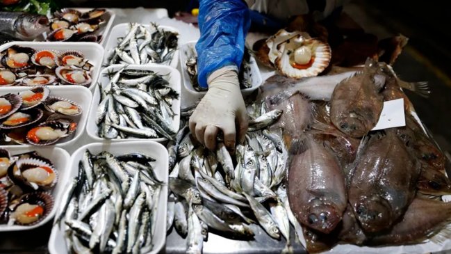 FAO advierte que uno de cada cinco pescados que se consumen en el mundo está mal etiquetado
