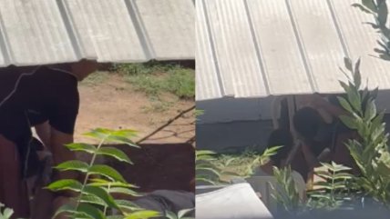 Ñuñoa: Detienen a cuidadores por agredir a personas con discapacidad intelectual