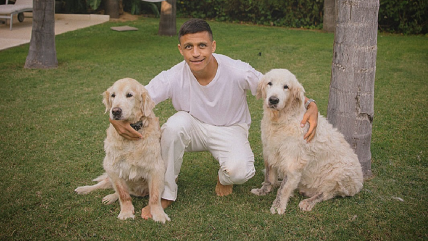   Alexis Sánchez se sumó a la tendencia viral de la IA y compartió imagen junto a sus perros 
