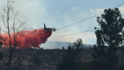 Senapred pidió evacuar: Alerta roja en Melipilla por incendio forestal