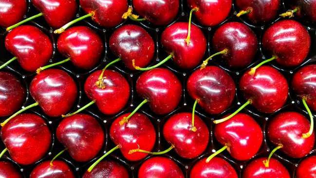 Desincronización entre la producción chilena y la demanda china complican la venta de cerezas