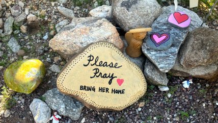   FBI contactó a autoridades en México por desaparición de la madre de periodista Guthrie 