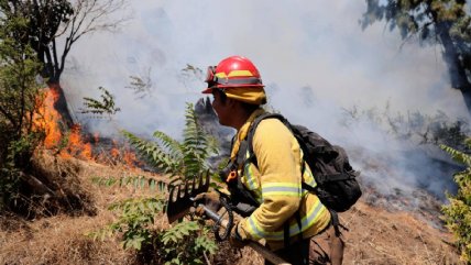   Conaf advierte que riesgo de incendios forestales en Biobío se mantendrá hasta abril 