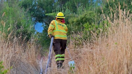 Alerta roja para comunas del Biobío y La Araucanía por incendios forestales