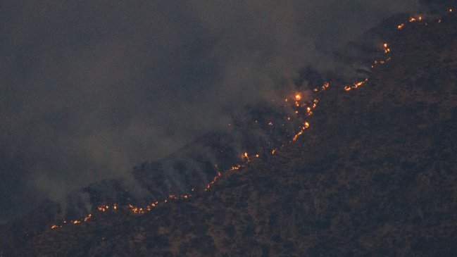 Senapred solicitó evacuar sectores de San Nicolás por incendio forestal