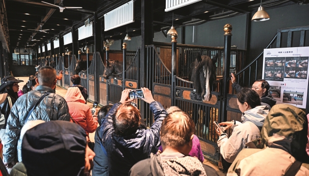 Imagen foto_00000002