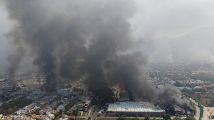 Experto mexicano: Tras golpes como la muerte de El Mencho, las bandas aplican un 