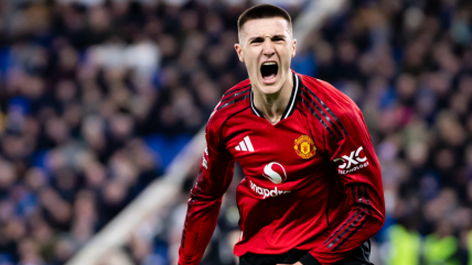 Manchester United volvió al triunfo tras derribar a Everton en la Premier League