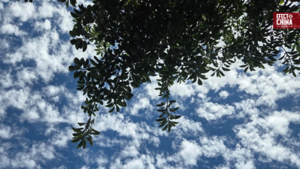   China mejora su calidad del aire y marca un récord histórico 