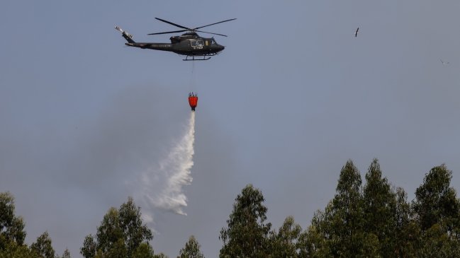 Alerta roja en Curepto por incendio forestal cercano a viviendas