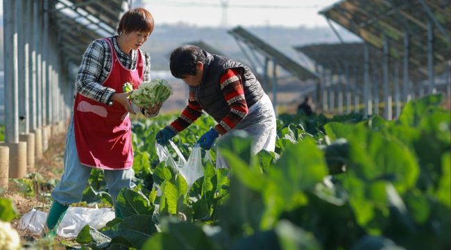 Imagen foto_00000001