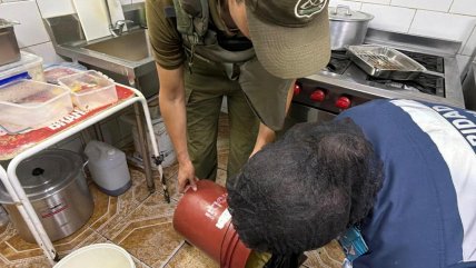   Seremi prohibió el funcionamiento de tres locales de comida en Mejillones 