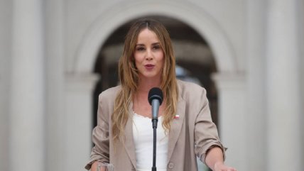 Sedini negó que el Gobierno esté buscando un 