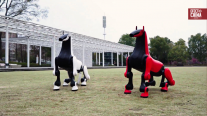 ¿Un caballo robot? China muestra su nueva apuesta tecnológica