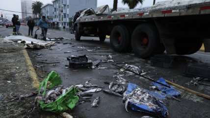 Camión con pescados volcó en Valparaíso