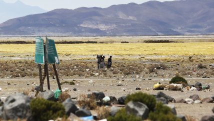  Sorprendieron a 14 bolivianos saliendo de Chile por un paso no habilitado  