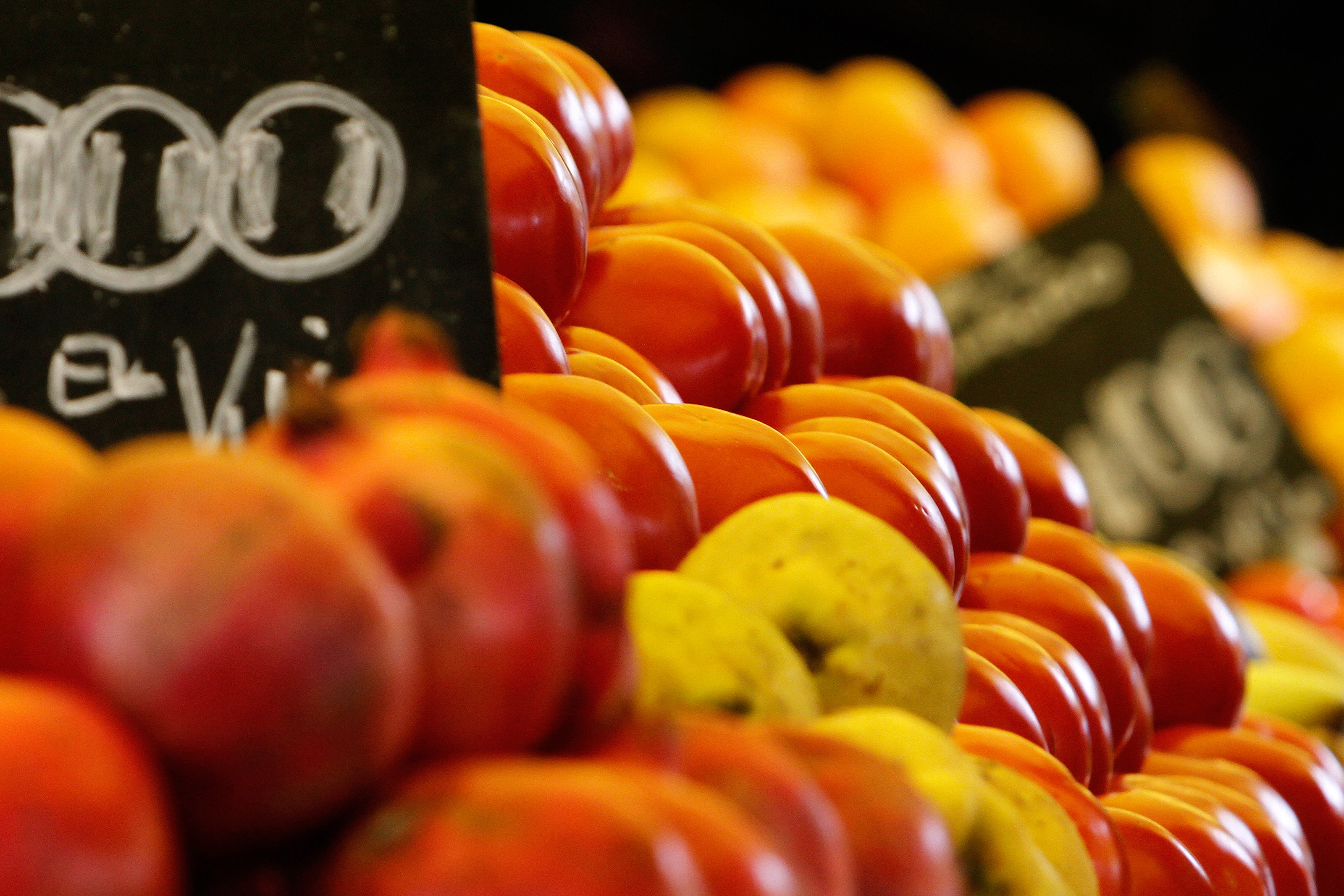 Imagen foto_00000003